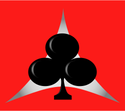 Belle Vue TV